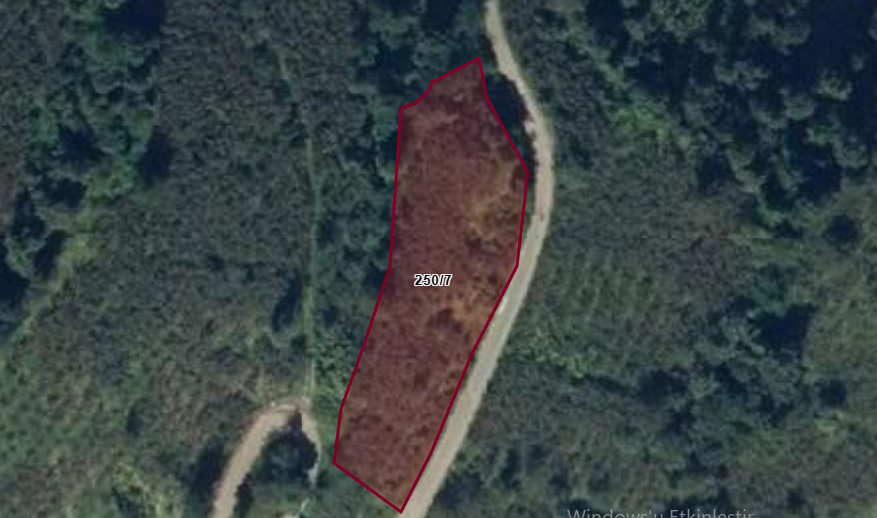 MABEL'DEN FATSA HACIKÖY'DE 2343M2 FIRSAT SATILIK ARSA